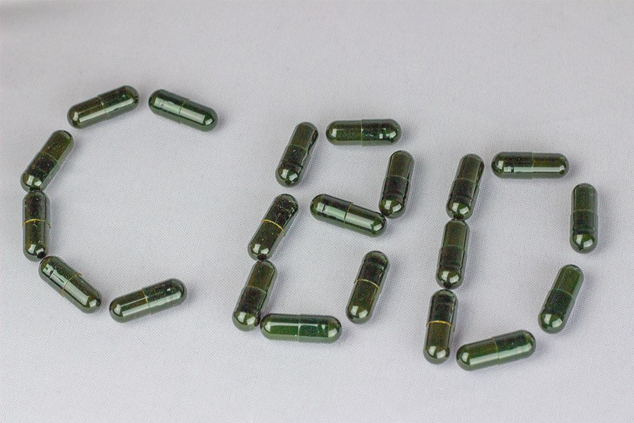 C-B-D spelled out with BioCBD+ Capsules | Made By Hemp