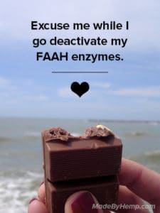cacao deactivates faah enzymes and contains cannabinoids | Made By Hemp