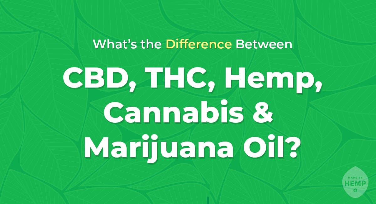 cbd thc hemp cannabis marijuana oil