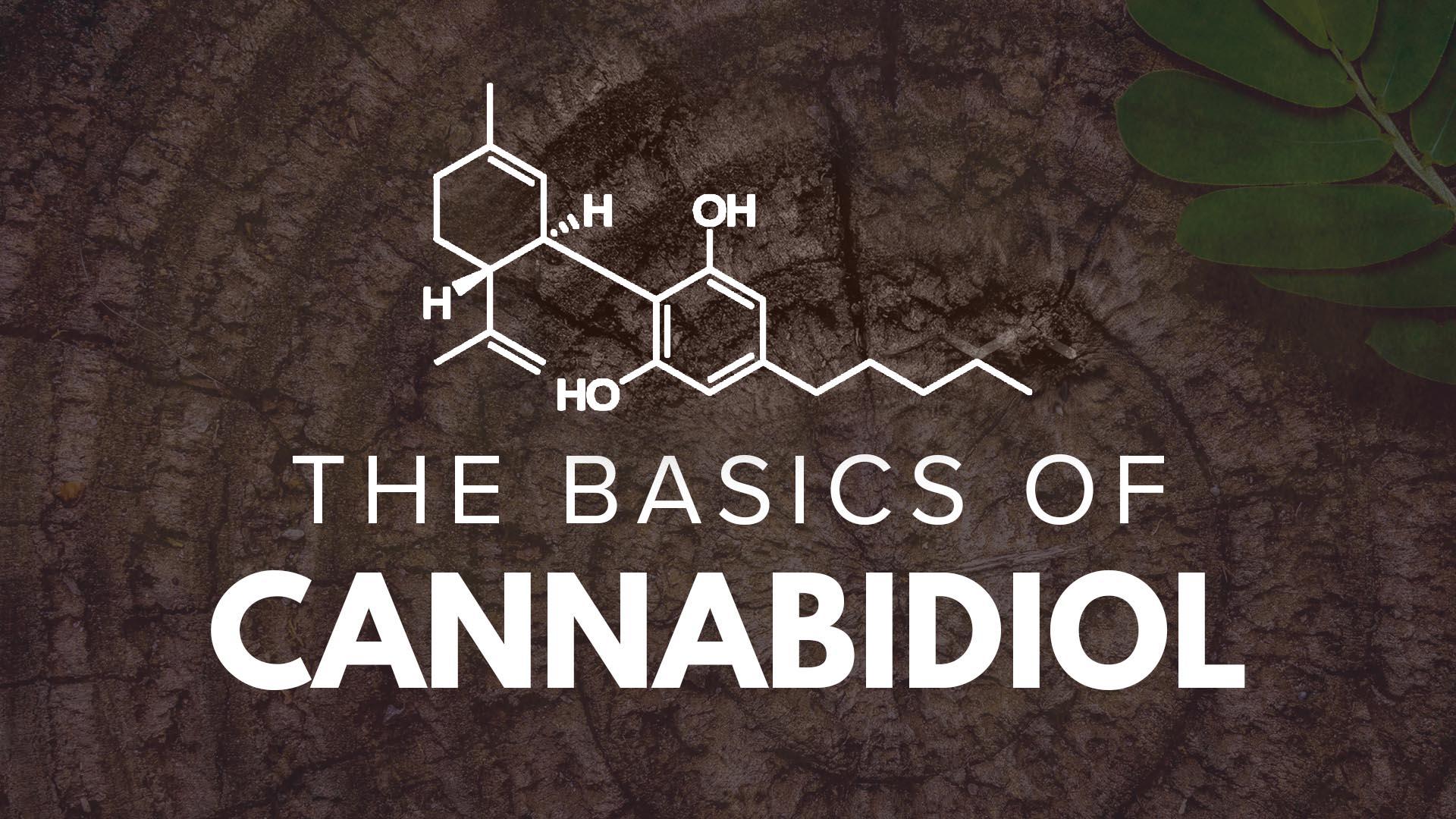 what is cannabidiol basics