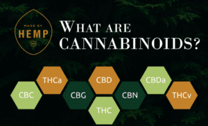 What Are Cannabinoids (and Why Are They Important)? | Made By Hemp