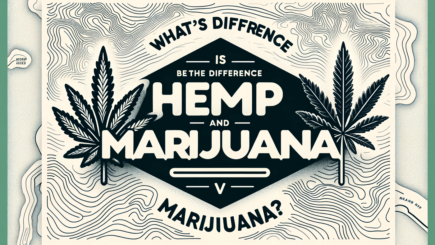 Whats the difference between hemp and marijuana