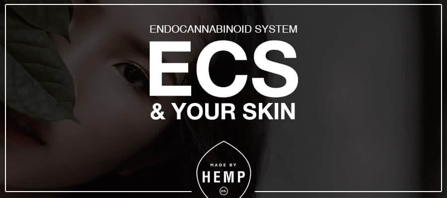 The ECS and Skin