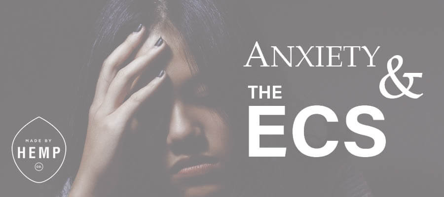 Anxiety and the Endocannabinoid System