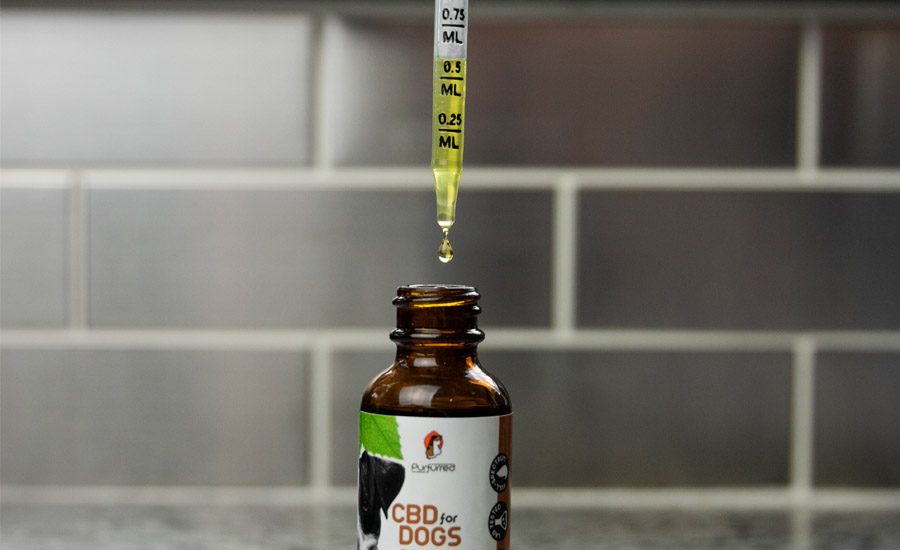 cbd oil for dogs dosage