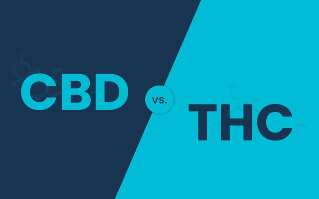 is cbd or thc better