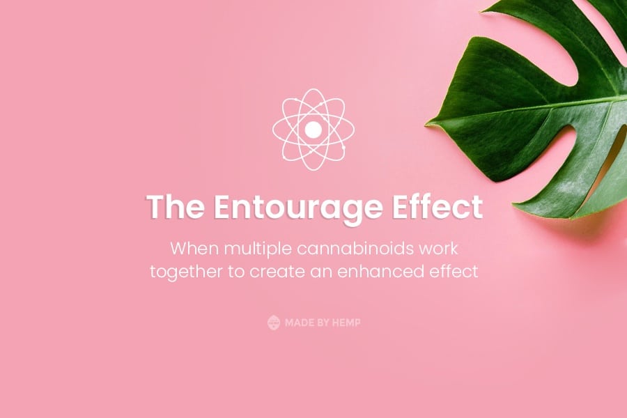 entourage effect